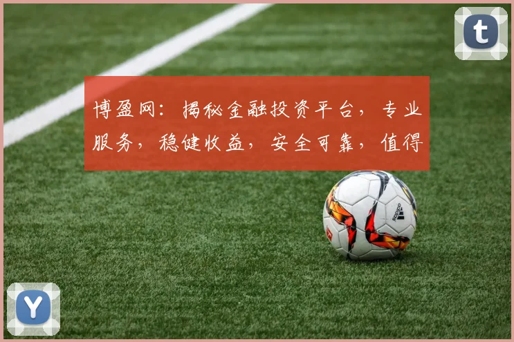 博盈网：揭秘金融投资平台，专业服务，稳健收益，安全可靠，值得信赖