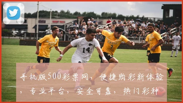 手机版500彩票网，便捷购彩新体验，专业平台，安全可靠，热门彩种一网打尽，尽享乐趣